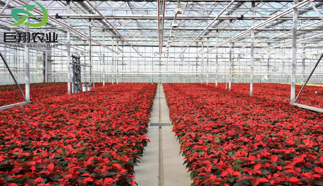 Agricultural Single-Span Tunnel Type Film Blackout Mushroom Greenhouse with Light Deprivation System for Medical Plants and Mushroom