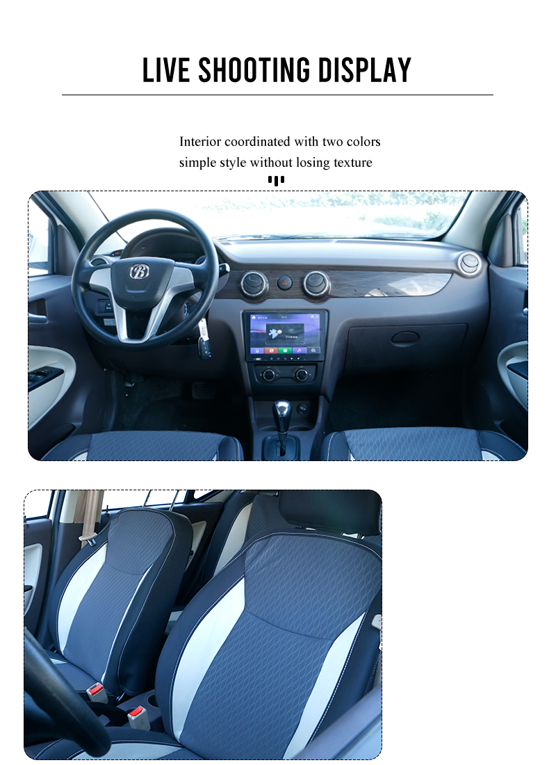Lithium Battery Powered Blaval Solar Powered Electric Cars FH-S8 20KW