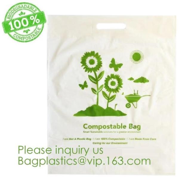 Cornstarch Biodegradable Compostable Bags PLA PBAT BIO BAGS, BIO SACKS, Handle
