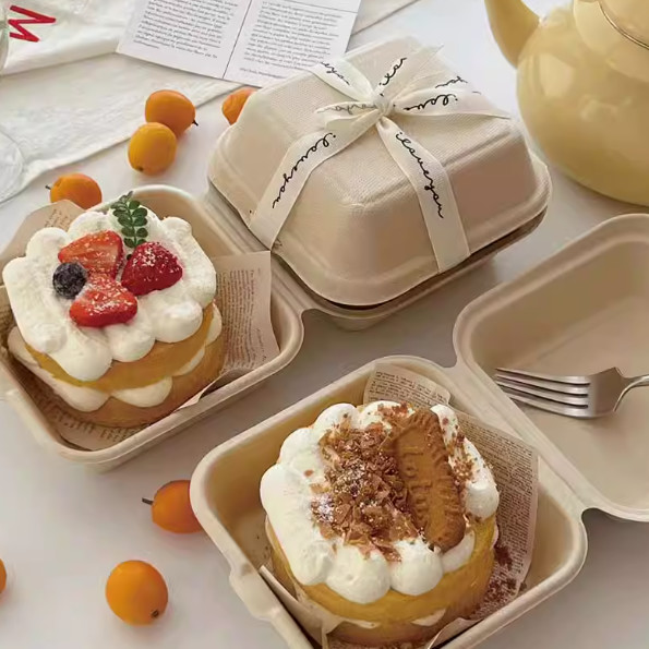 8 Inch *3 Grid Pulp Lunch Box Disposable Biodegradable Take Away Food Box