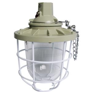  Ceiling Mounting Explosion Resistant HID Lamp With E27 Holder Manufactures