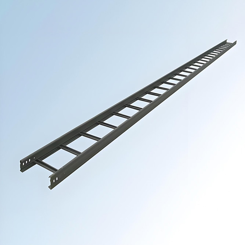 Galvanized Finish Ladder Type Cable Tray Ideal for Indoor Outdoor Applications Height 50mm-150mm