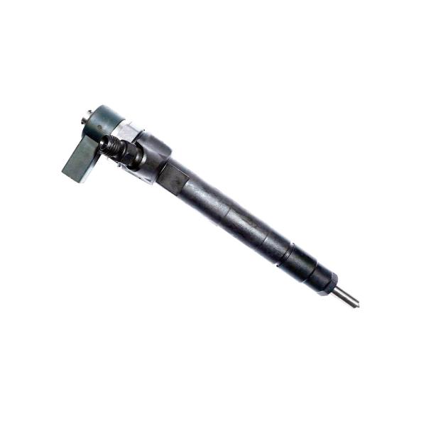 Standard Size 0 445 110 055 Bosch Fuel Injection Common Rail Injector 0445110055