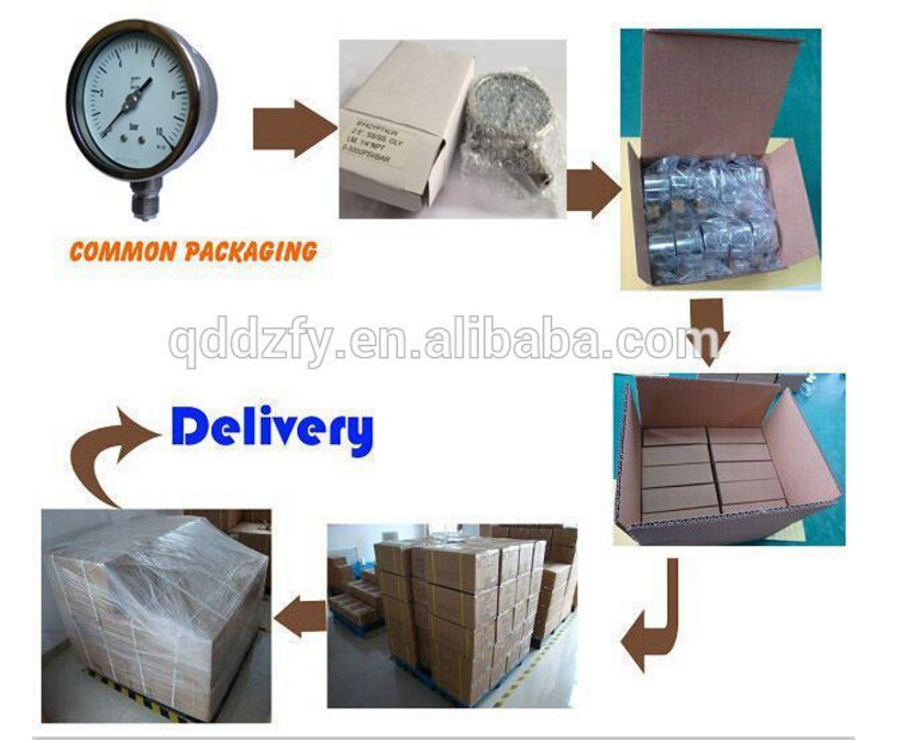 Dry Stainless Steel Pressure Meter 60mm Manometro Pressure Gauge
