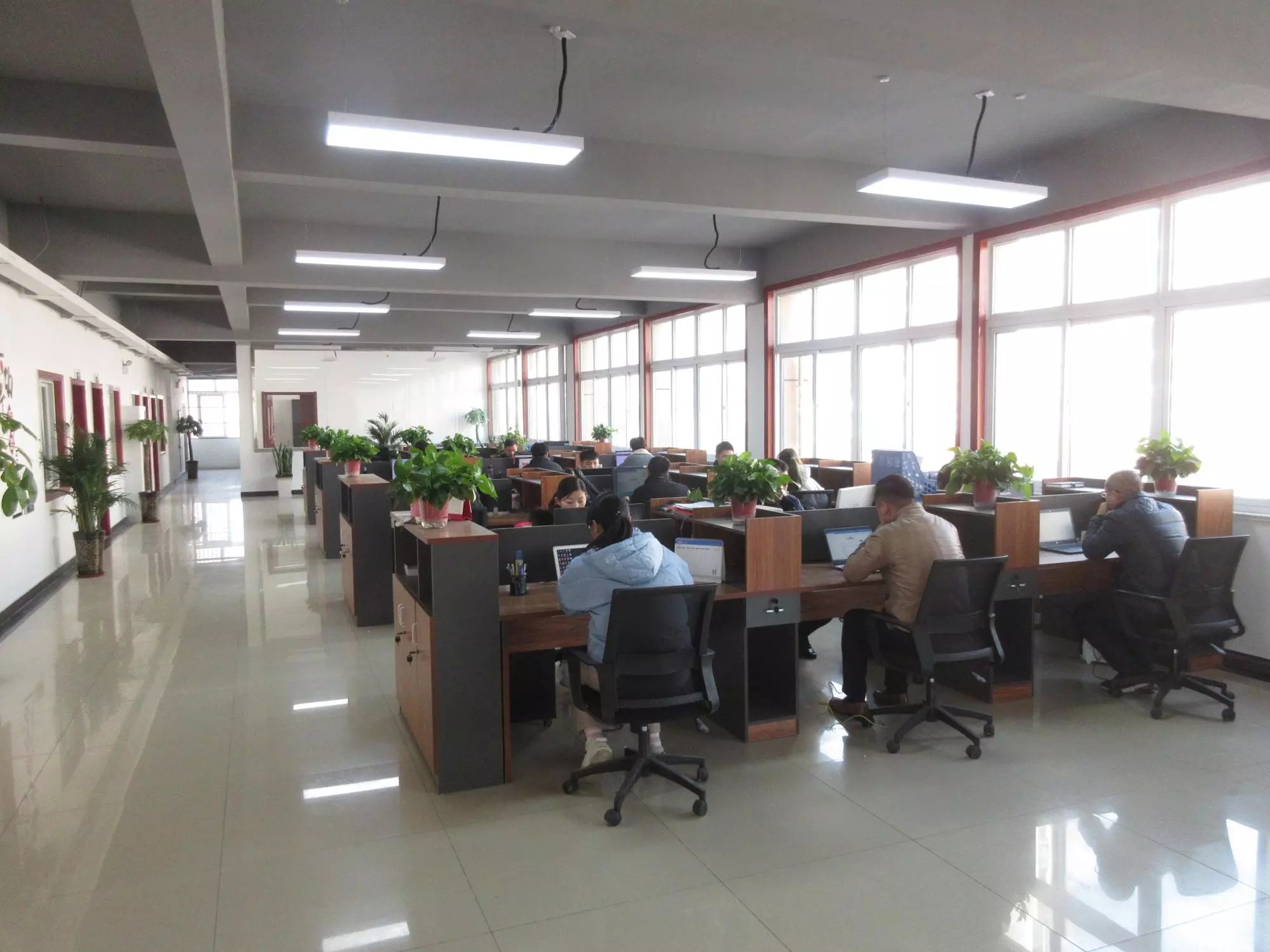 High Working Efficiency Lentil Color Sorter For Food / Beverage