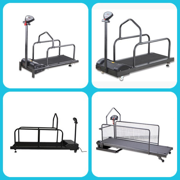 Pet Animals Rehabilitation Equipment Underwater Dog Hydrotherapy Treadmill