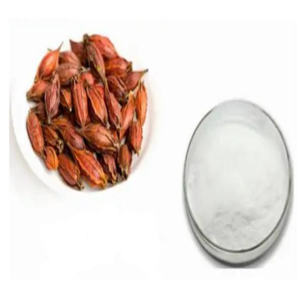 Feed Additive Gardenia PE Plant Extracted Powder 10%-90% To Treat Animal