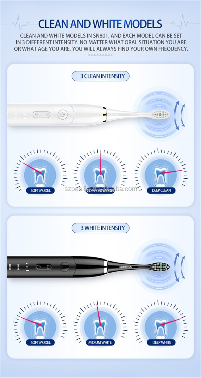 SN801 Segment Time Reminder Electric Sonic Toothbrush With Magnetic Suspension