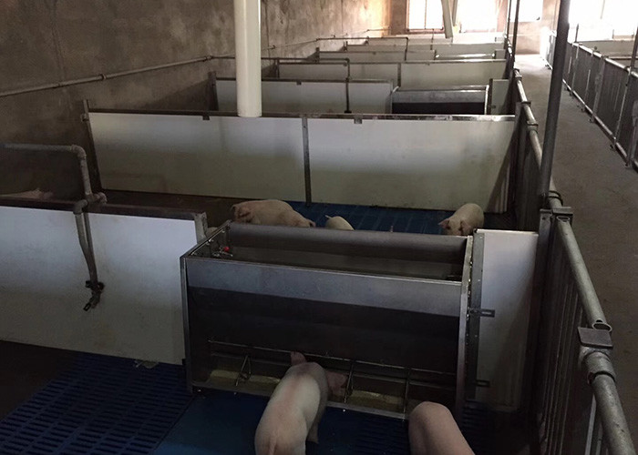 Hot Dip Galvanized Piggery Farm Equipment PVC board Weaner Raised Farrowing Crate