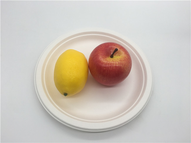 6 Inch Microwavable Party Bagasse Disposable Plates