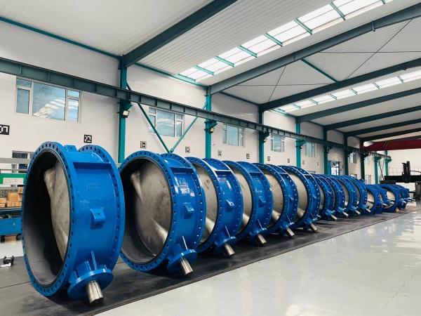 DI WCB PN16 BS EN593 Manual Double Flanged Butterfly Valve Wormgear Large size