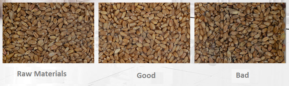 JIETAI Custom Corn Color Sorter Cashew Colour Sorting Machine