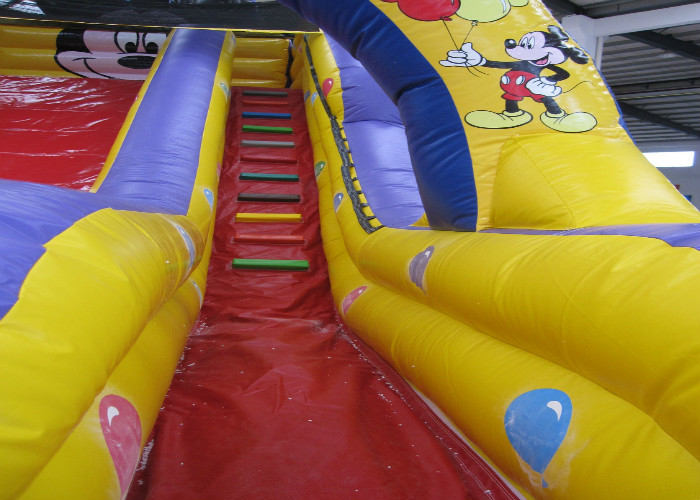 Mickey High Slide Commercial Inflatable Water Slides, Enviroment - Friendly