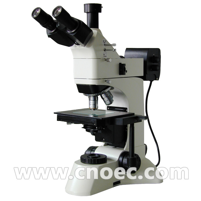  Learning Inverted Metallurgical microscopes Halogen Lamp Microscope A13.0208 Manufactures
