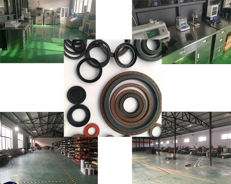 TCN NBR Mechanical Oil Seal Rubber Oil Seal for Car Engines And Gearboxes