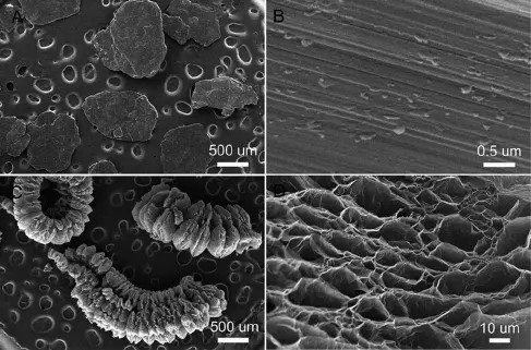 Expanded Graphite Powder And Flake Graphite Powder For Conductive Coatings