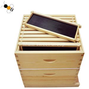 Beekeeping Boxes Langstroth Beehive Kit Apiculture Tools