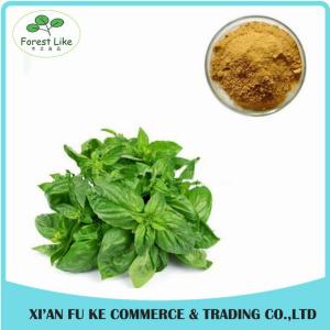 China Hot Selling Herbal Extract Holy Basil Leaf Extract 4:1 - 20:1 on sale