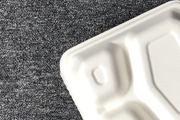 Biodegradable compostable sugarcane plant fiber dinnerware