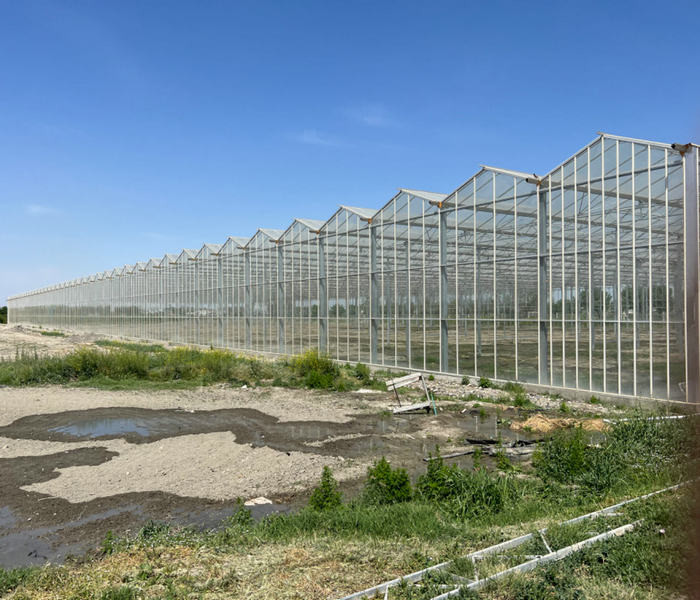 10 X 6 10 X 12 10 X 10 10 X 8 Commercial Glass Greenhouse Galvanized Steel Growing Flower Vegetable
