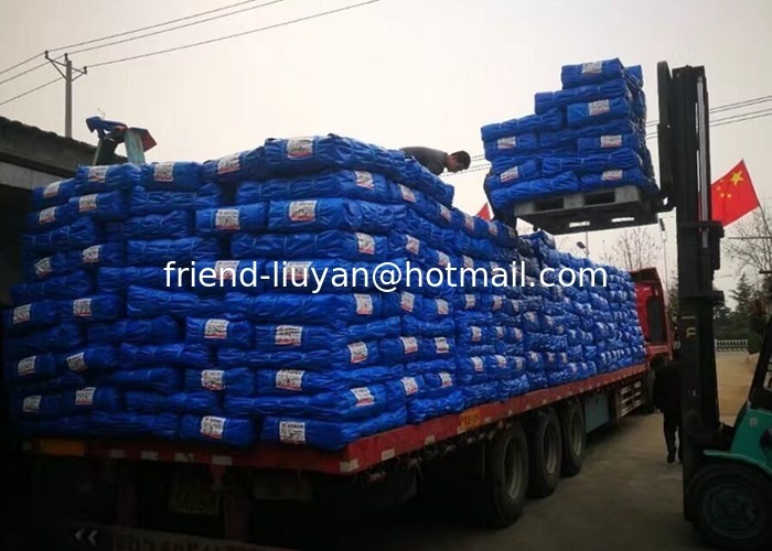 Blue Tarpaulin Polyethylene Tarp Heavy Duty Waterproof Tarpaulin Outdoor PlasticPool Canvas
