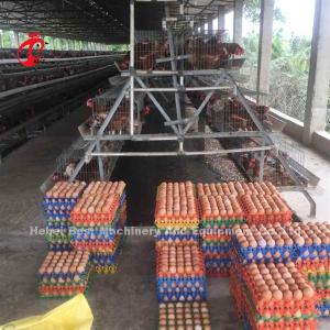  Semi Automatic 3.5mm Layer Battery Cage System Poultry Farming Equipment Ada Manufactures