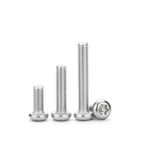 304 Stainless Steel Metric Measurement System Security Torx Anti-Theft Screws
