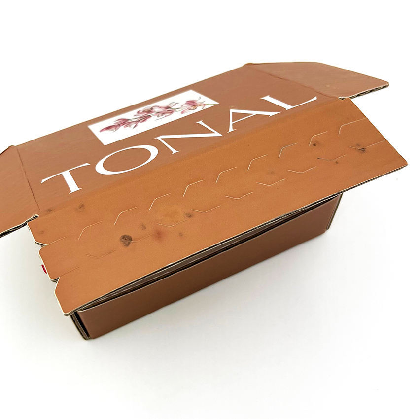 Customized Private Logo Corrugated Shipping Adhesive Tear Strip Open Postal Box for Items