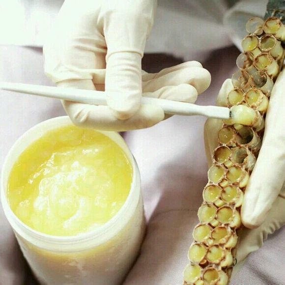 Food Grade 10-HDA 2.0% Organic Fresh Royal Jelly Natural Pure