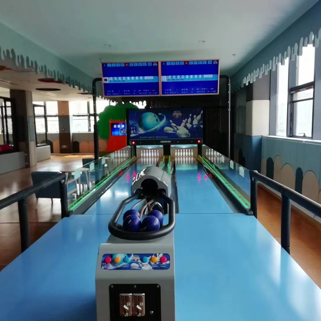 Indoor Fitness Mini Bowling Games for Adults or Kids Manufacture 12m Bowling Fairway