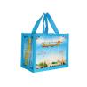 Buy cheap Eco Friendly Laminated Non Woven Reusable Bags For Department Store Shopping from wholesalers