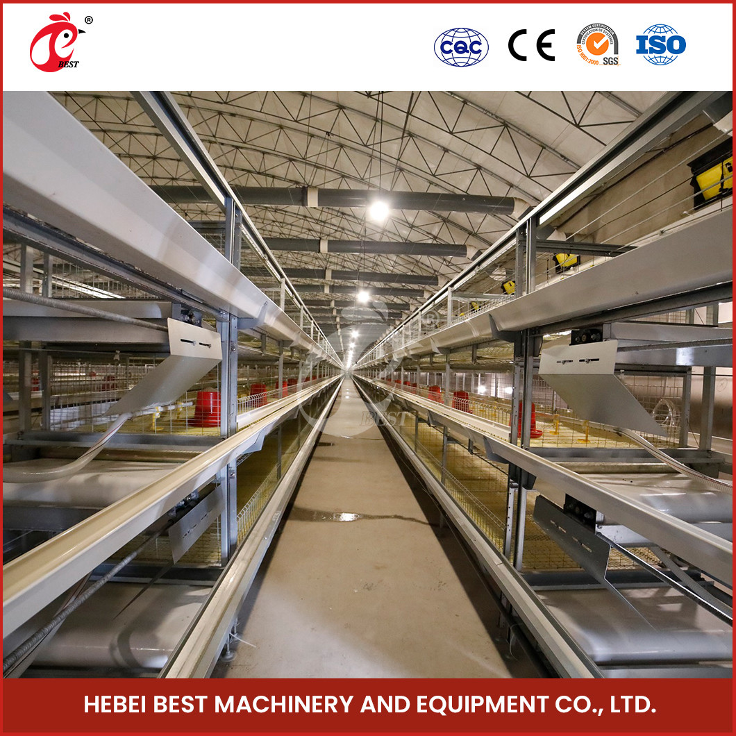 Computer Controlled Raising Automatic Chicken Cage Equipment Star
