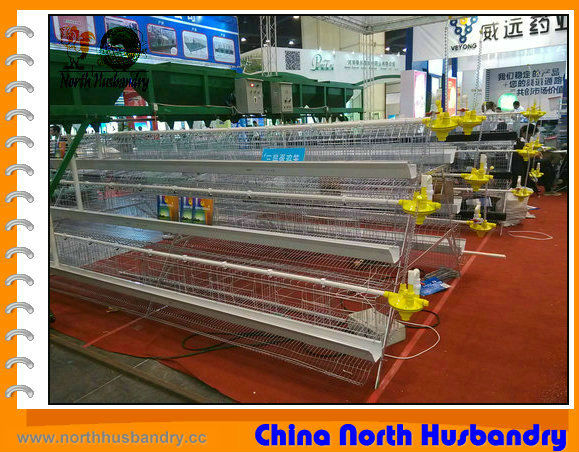 Buy Poultry Cage At Cheap Price - Business To Business - Nairaland