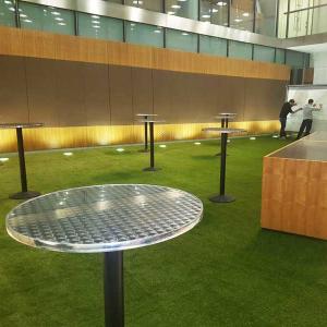Artificial Plastic Grass High Simulation Water Saving No Need Maintenance