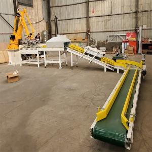  Warehouse Robotic Arm Palletizer 4 Axis Robotic Case Palletizing Manufactures