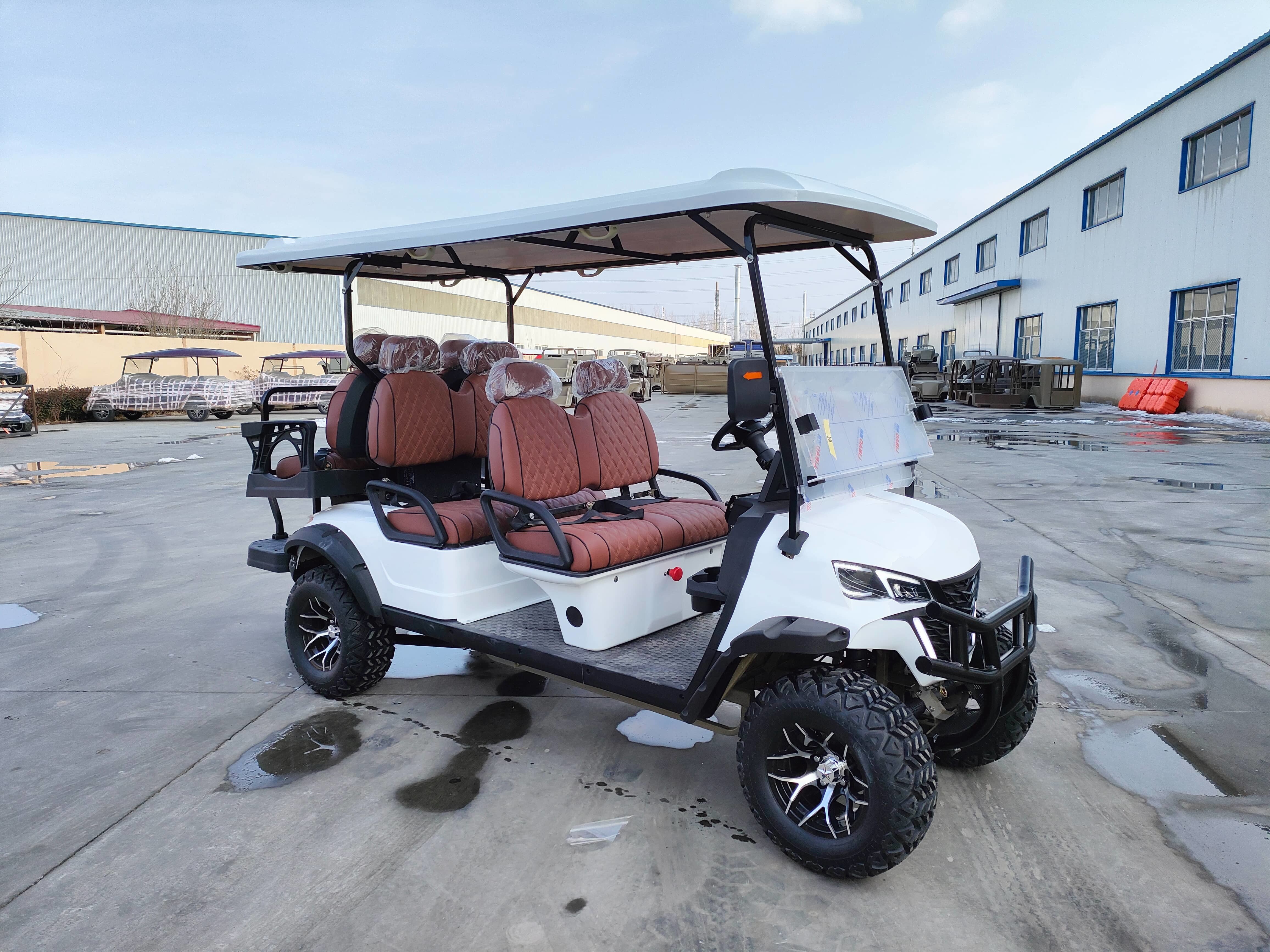 6 Passenger Off-road Buggy Automatic Lightweight Electric Golf Cart Customized