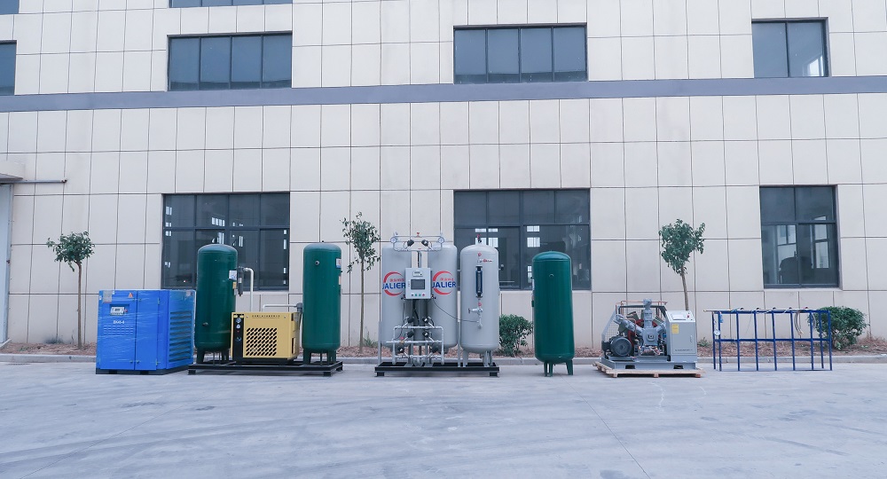 Medical Oxygen Generator 1000 Liter Oxygen PSA Generator Machine for Medical Facilities