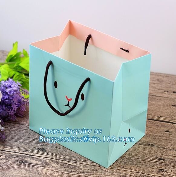 Luxury Rope Handle Laminated Paper Carrier Bags,brand Luxury laminated manila carrier paper hand bag, bagplastics, bagea
