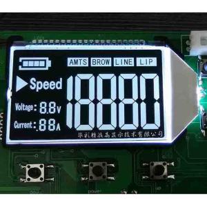3.0 Inch LCM Custom LCD Displays TN 7 Segment Lcd Module ROHS
