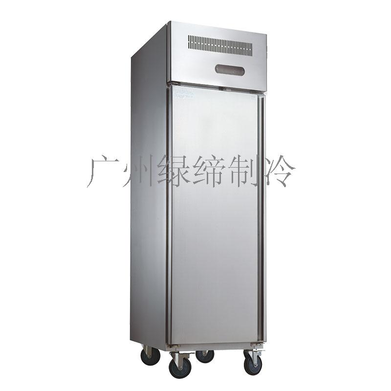 Commercial Upright Freezer , Kitchen Refrigerator Freezer CE CB