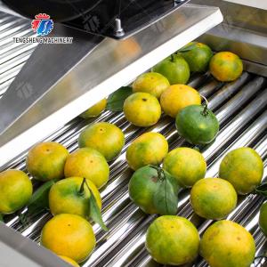 Customization Ozone Sterilization Fruit And Vegetable Processing Line Dry