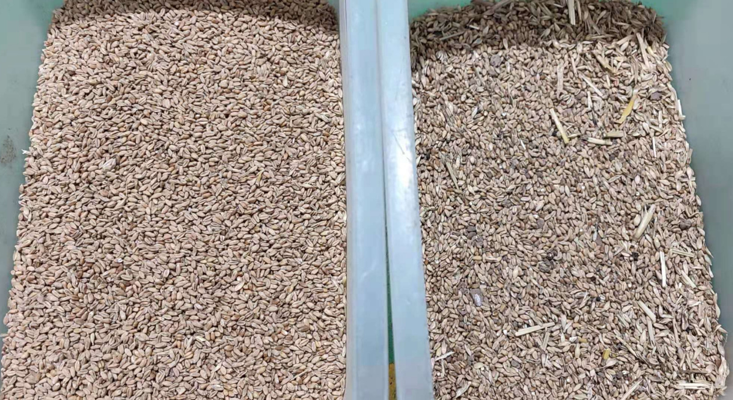 128 Channels Wheat Grain Color Sorter 2 Chutes