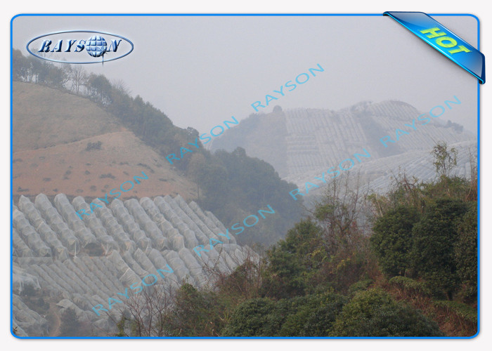 Plant Covering Mulch Film Fruit Bags Non Woven Landscape Fabric with Anti UV