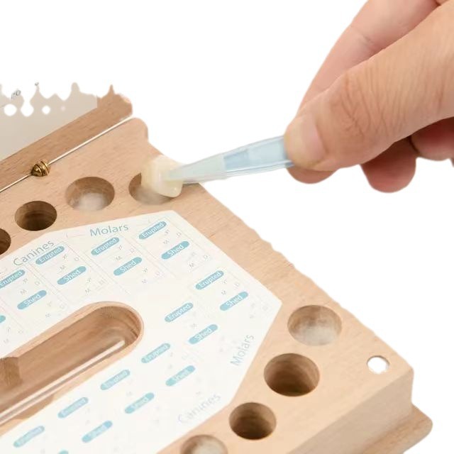 wooden Book shaped tooth box ,baby teeth case for birthday gift