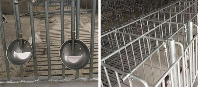Stainless Steel Hog Waterer Pig Feeders and Drinkers Pig Water Drinkers