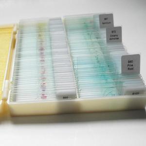 100pcs Biological Animal Tissue Medical Microscope Slides With Specimens