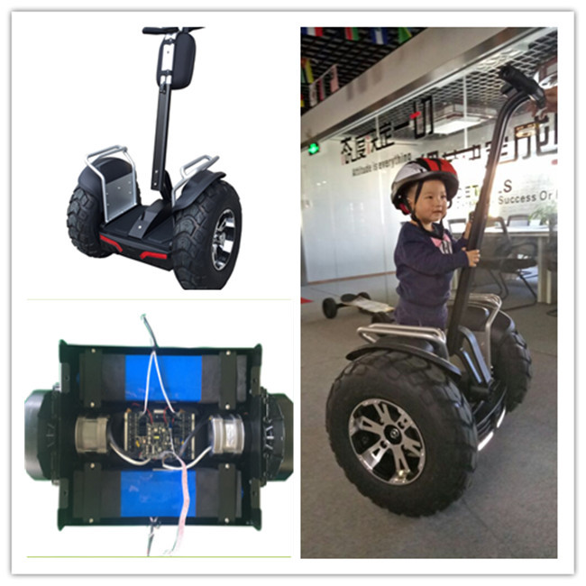 OEM 4000w 1266wh Segway Electric Scooter Two Wheels Electric Chariot