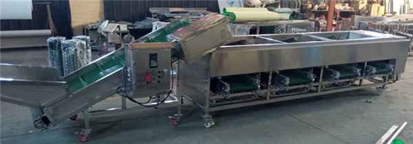 mushroom sorting machine,mushroom grading machine,walnut sorting machine,walnut grading machine
