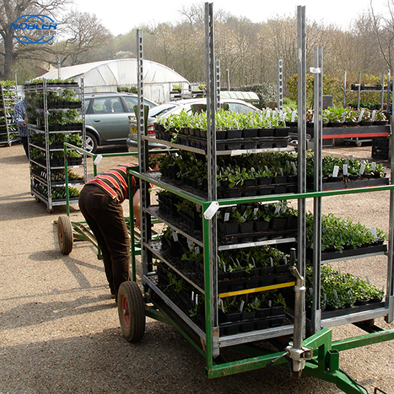 display Danish trolley From China Are Specially Used For Dutch Flower Planting