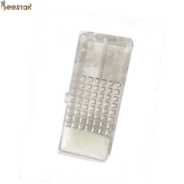 Transparent Clear Queen Bee Cage With Foam Queen Introduction Cage for